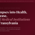 Glimpses into Health, Disease, and Medical Institutions in Transylvania (19th–20th Centuries)